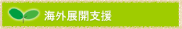 海外展開支援