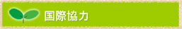 国際協力